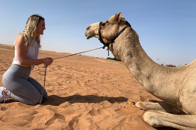 Premium Evening Desert Safari, Quad Bike, Camel & VIP BBQ Dinner - Dune bashing and sandboarding in Lahbab red dunes