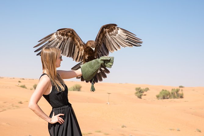 Private Abu Dhabi Evening Desert Safari (Exclusive) - A private Abu Dhabi evening desert safari that stays simple
