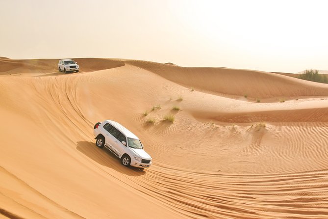 Private Abu Dhabi Evening Desert Safari (Exclusive) - Arabian culture stops: henna, belly dancing, shisha, and costumes