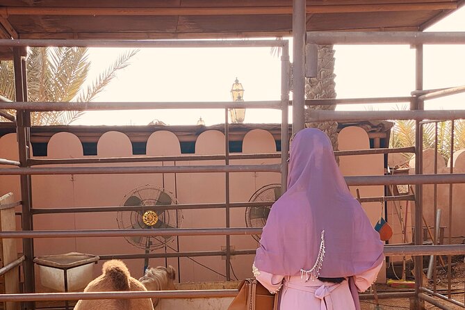 Private Abu Dhabi Half Day City Tour - Qasr Al Watan and Etihad Towers: culture and views before you head back