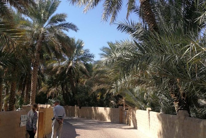 Private Al Ain tour from Dubai with professional Driver - Why Al Ain feels like more than a day trip