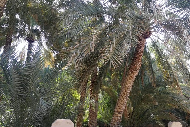 Private Al Ain tour from Dubai with professional Driver - Stop 4: Jebel Hafeet for photos and wide views, about 30 minutes