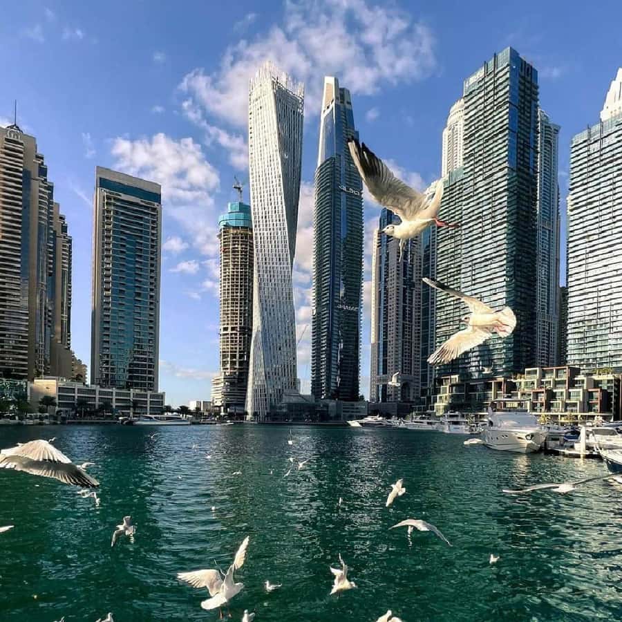 Private Dubai CityTour with Miracle Garden or Global Village - Palm Jumeirah, Atlantis, and Madinat Jumeirah: the sea-side icons and the in-between stops