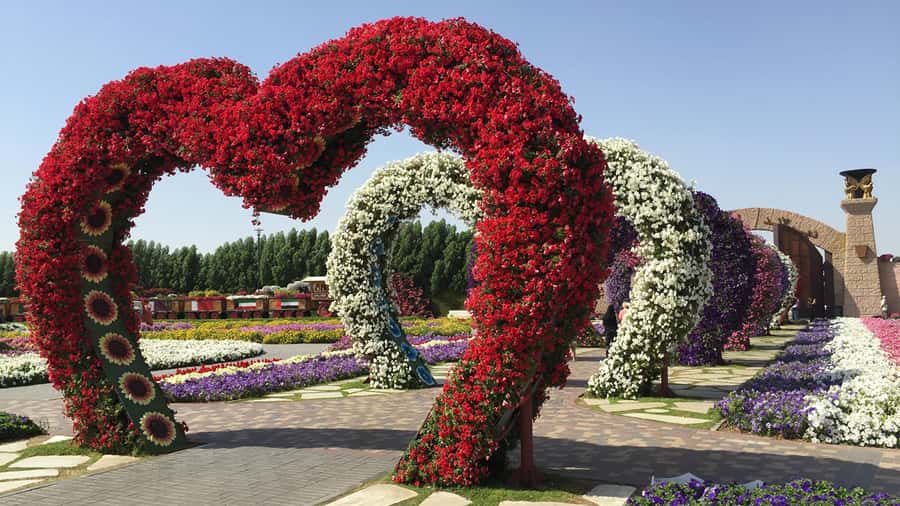 Private Dubai Frame & Miracle Garden Trip with Transfer - Should you book? My quick decision guide