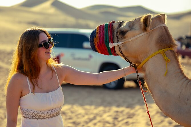 Private Dune Bashing in Abu Dhabi - Morning Desert Safari - Quick hits before you go