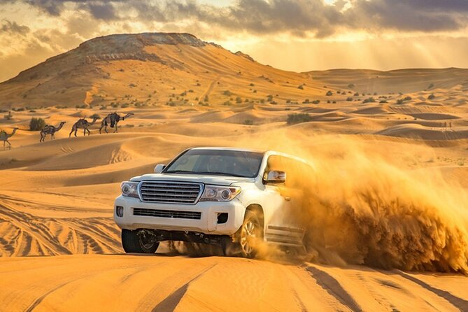 Private Evening Desert Safari with BBQ Dinner Dubai - Price, Group Size, and the Real Value of a Private Safari