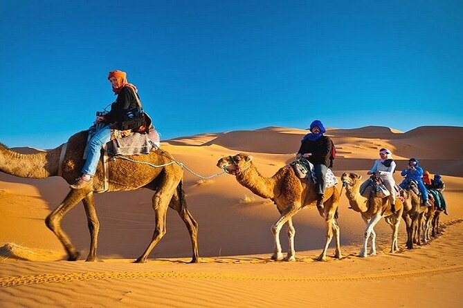 Private Evening Desert Safari with BBQ Dinner Dubai - Timing Tips So You Do Not Lose the Best Parts