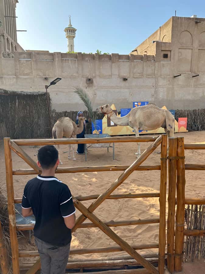 Private Food Tour – 12 Tastings with Locals - Old Dubai, But Make It a Food Mission