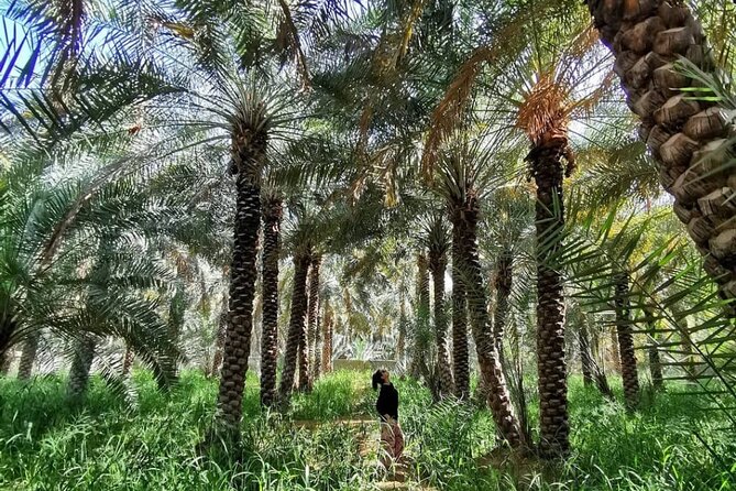 Private Full Day Al Ain City Tour - Sheikh Zayed Palace Museum: traditional life told through a residence
