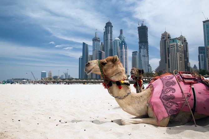 Private Full Day Dubai City Tour - Dubai in One Day, Without the Metro Guesswork