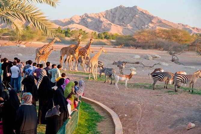 Private Garden City Tour with Zoo Ticket at Al Ain - Stop 1: Al Ain Zoo, More Than Just a Quick Animal Look
