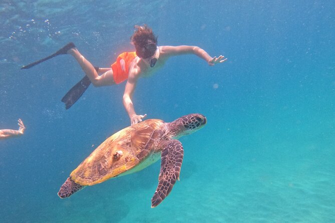 Private Snorkeling with turtles with BBQ food - On-board comfort: drinks, sound, and a shower waiting for you