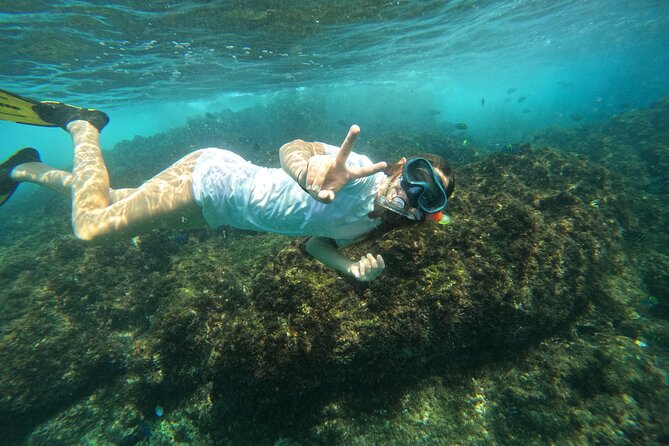 Private Snorkeling with turtles with BBQ food - The BBQ food part: light, included, and strategically timed