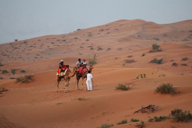 RAK Desert Safari and BBQ Dinner with RAK pick up - The Pickup and 4x4 Dune Bashing Experience You Actually Want