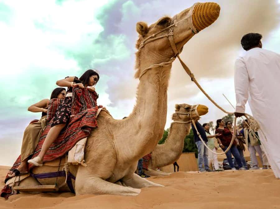 Ras Al Khaimah: Guided Quad Bike Tour - Small group dynamics: why limited numbers matter on a dune day