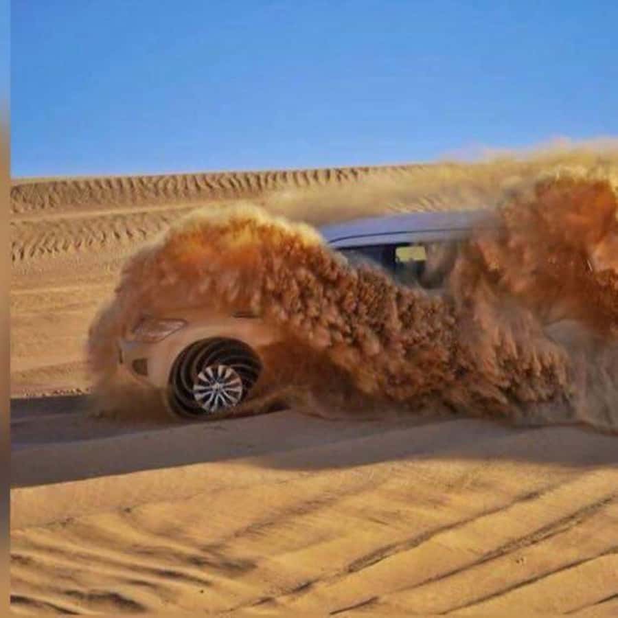 Ras Al Khaimah: Half-Day Desert Safari with Dinner - Key Highlights You Should Care About