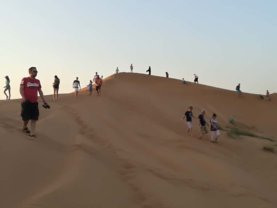 Ras Al Khaimah: Half-Day Desert Safari with Dinner - The Half-Day Rhythm: Afternoon Desert, Sunset Pause, Night Camp