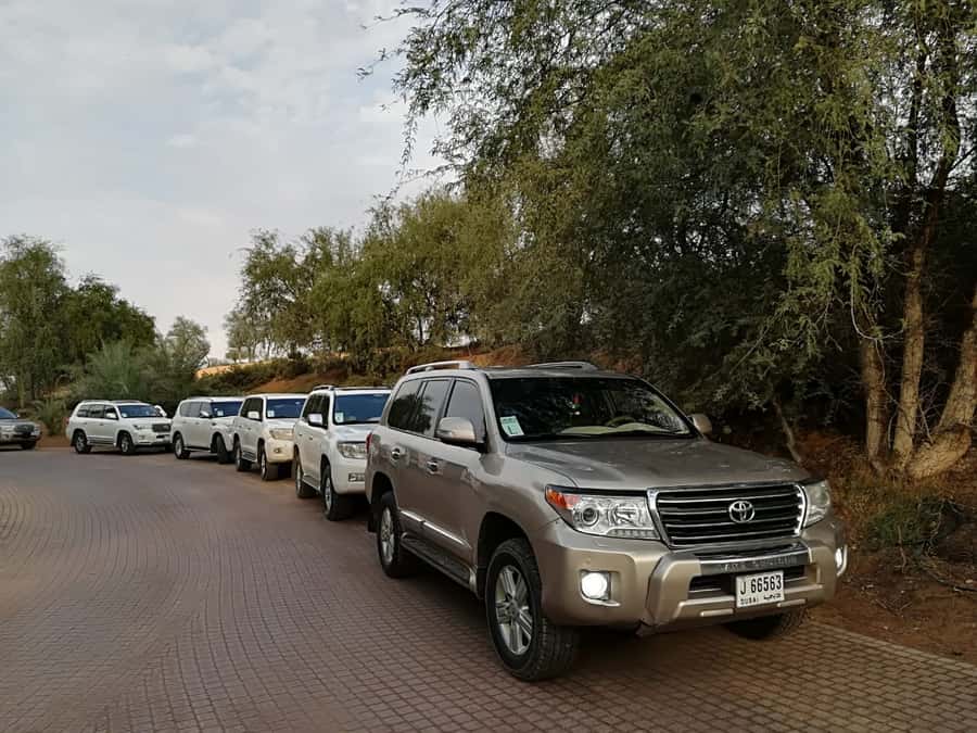 Ras Al Khaimah: Half-Day Desert Safari with Dinner - Camel Ride, Sandboarding, and Henna: Small Actions, Big Memories