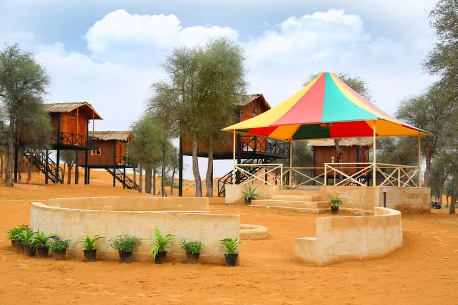 Ras Al Khaimah: Half-Day Desert Safari with Dinner - Tannourah and Belly Dancing by Campfire Starlight