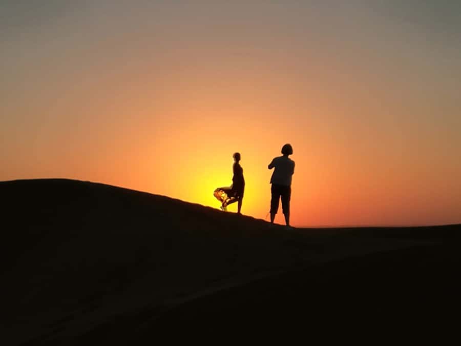 Ras Al Khaimah: Half-Day Desert Safari with Dinner - 4WD Dune Bashing: The Part Most People Remember