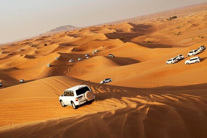 Red Dune Evening Desert Safari with BBQ Dinner - Key things that make this safari work