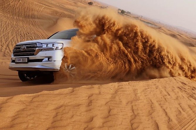 Red Dune Safari Adventure with BBQ Dinner Experience - Camp welcome and hands-on activities you can actually do
