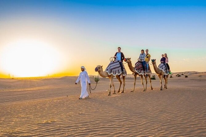 Red Dunes Desert Safari with 4x4 Pick up & Drop, Camel ride, BBQ and Live shows - Camel Ride and Sand Boarding: Two Classic Desert Activities