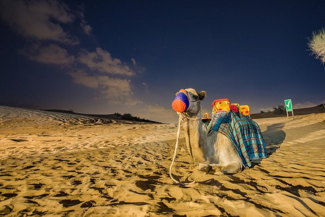Red Dunes Desert Safari with BBQ Dinner - Key highlights worth your attention