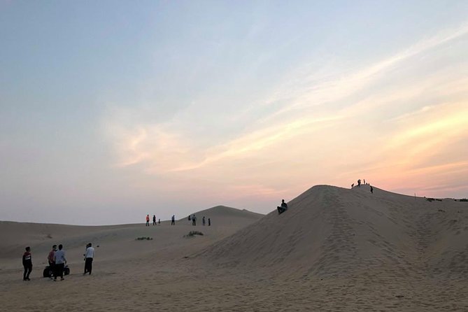 Safari Half-Day Adventure from Abu Dhabi - Who This Half-Day Desert Safari Fits Best
