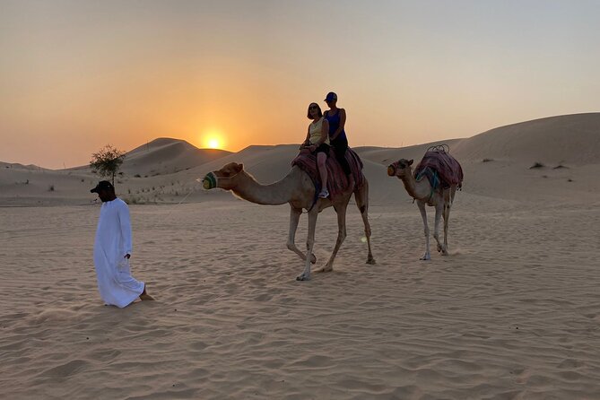 Safari Half-Day Adventure from Abu Dhabi - Should You Book This Abu Dhabi Desert Adventure?