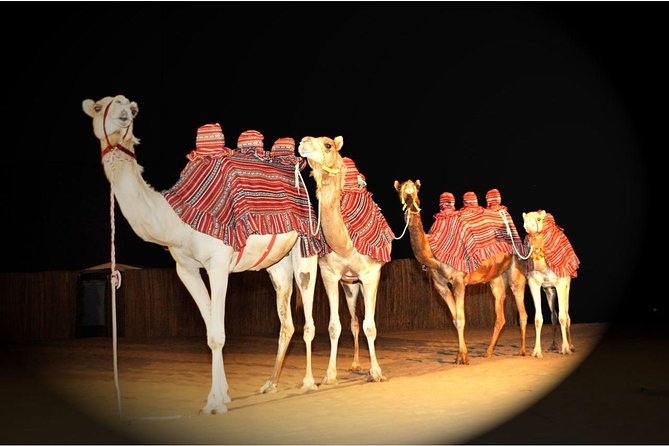 Sahara Arabian Desert Dinner Experience with Transport from Dubai - Arrival at Al Sahra Desert Resort: Coffee, Camel Ride, and Camp Atmosphere