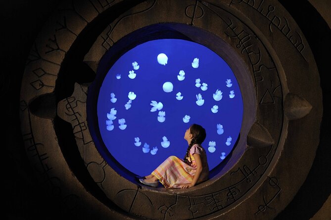 Skip The Line : Atlantis Lost Chambers Aquarium - Key highlights you should know before you go