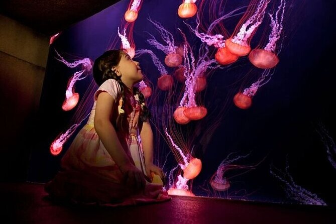 Skip The Line : Atlantis Lost Chambers Aquarium - Atlantis Lost Chambers Aquarium at Aquaventure World: what you are actually paying for