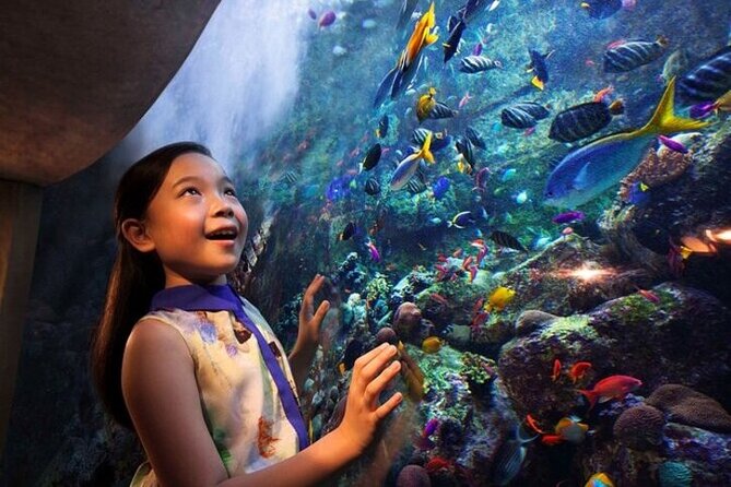 Skip The Line : Atlantis Lost Chambers Aquarium - Inside the Lost Chambers: how the main tank changes the whole feel
