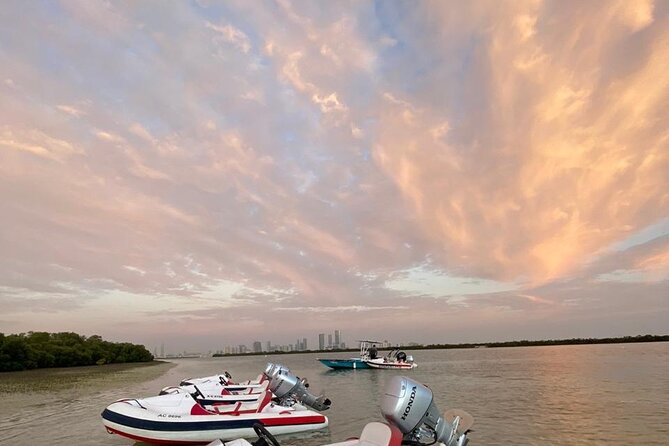 Small-Group Self-Drive Speedboat Tour in Yas Island Mangroves - Flamingo spotting stop, Yas Golf Course scenery, and Ferrari World backdrops