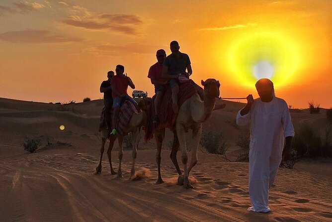 Small-Group UTV Desert Adventure with Camel Ride Experience - Price and value: what you’re really buying for $128.12 per group