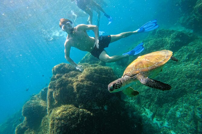 Snorkeling with turtles in Fujairah with BBQ lunch - Snorkeling with turtles in Fujairah: why this tour feels easy