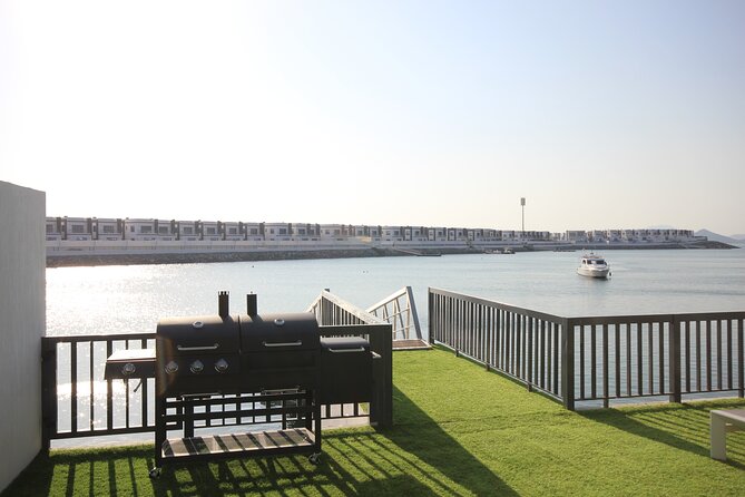 Snorkeling with turtles in Fujairah with BBQ lunch - Snoopy Island: your first 90 minutes with fish and calm water vibes