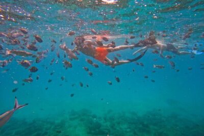 Snorkeling with turtles in Fujairah with BBQ lunch