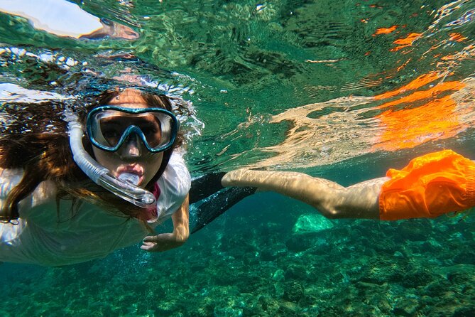 Snorkeling with turtles in Fujairah with BBQ lunch - Sharm Rocks: second session, second chance at turtles and rays
