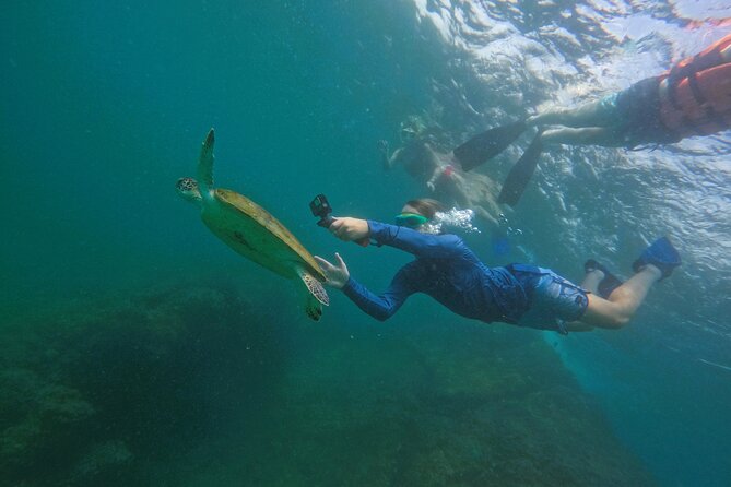 Snorkeling with turtles in Fujairah with BBQ lunch - The boat ride: comfort, toilets, and a steady supply of water