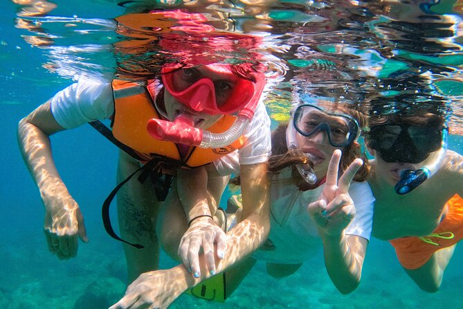 Snorkeling with turtles in Fujairah with BBQ lunch - Price and value at $95 per person