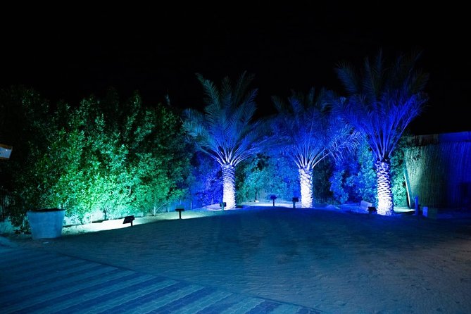 Standard Desert Safari, camel ride, BBQ Dinner, Belly Dance Show, Pick & Drop - Camel ride and henna: short, but still worth your time