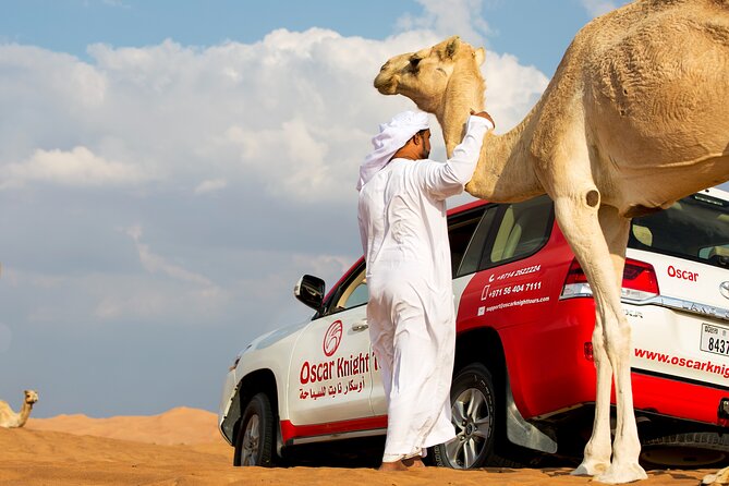Sunset Camel Trekking with Falcon Show & VIP BBQ Dinner - Key highlights at a glance