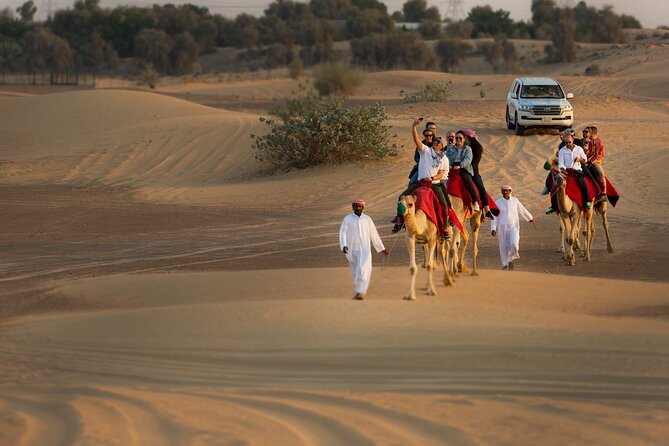 Sunset Camel Trekking with Falcon Show & VIP BBQ Dinner - Hotel pickup in air-conditioned comfort (and what your driver helps with)
