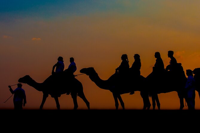 Sunset Camel Trekking with Falcon Show & VIP BBQ Dinner - The camel caravan: 45 minutes at sunset, with practical comfort tips