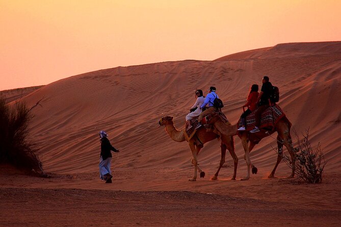 Sunset Evening Safari,Camel ride,live shows and BBQ Dinner with No Hidden Charge - A sunset safari that feels like a complete night out