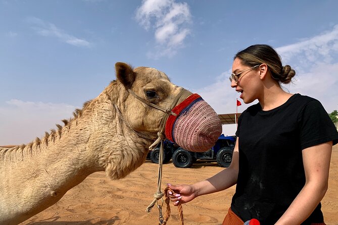 Sunset Quad/Buggy Tour & BBQ Evening - Price and Value for a 7-Hour Evening in Dubai