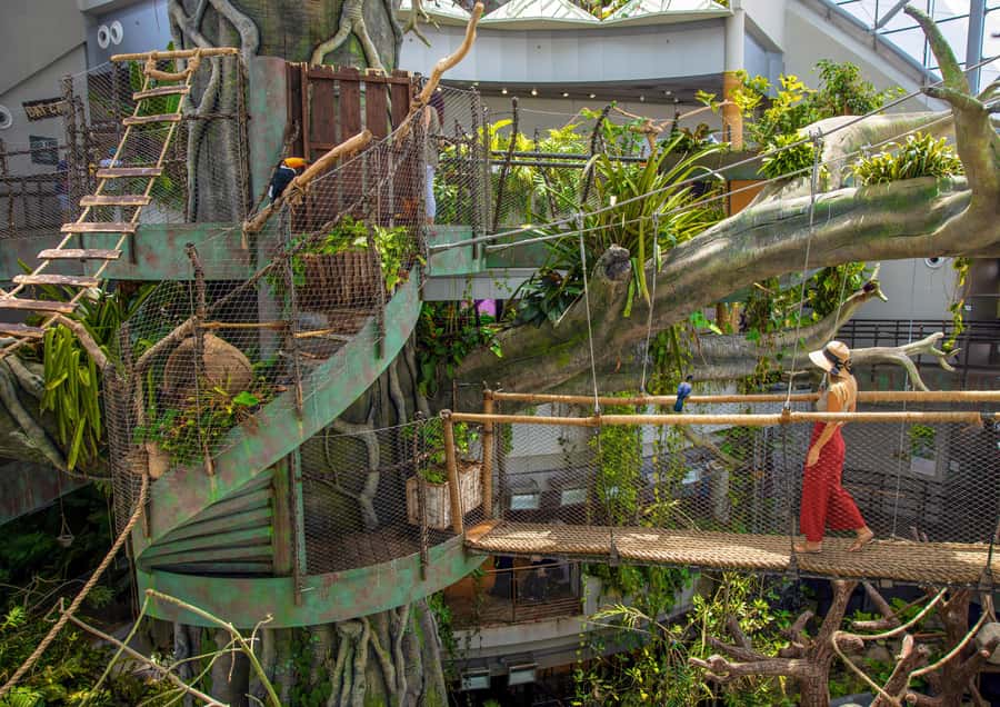 The Green Planet - Dubai's Unique Indoor Rainforest - A Step-by-Step Walk Through the Dome, Treetops to Below Ground