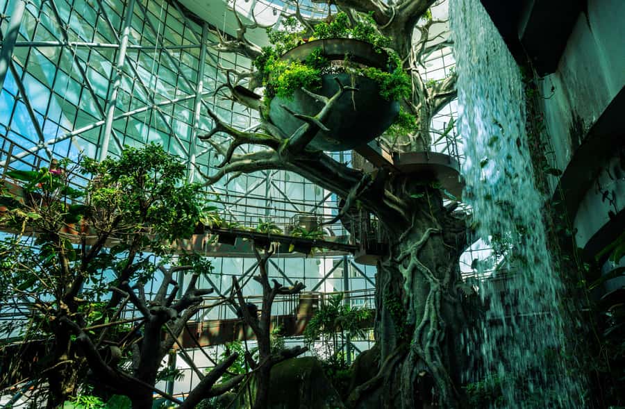 The Green Planet - Dubai's Unique Indoor Rainforest - Sloths and Squirrel Monkeys, Small Moments That Feel Real